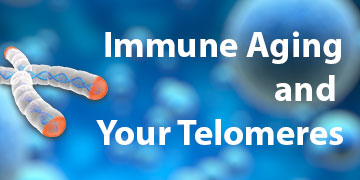 Immune Aging and Your Telomeres